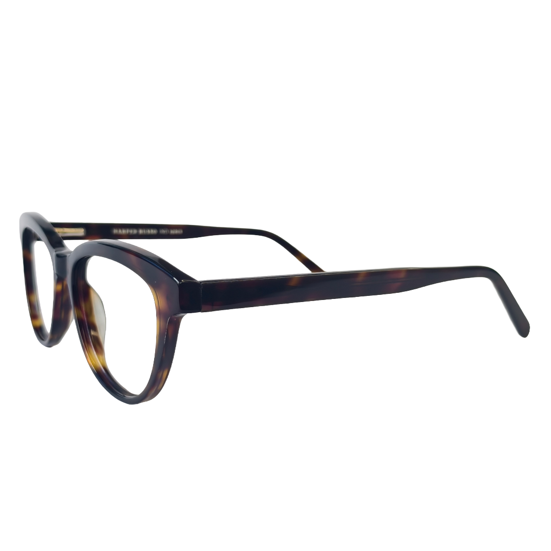 WORLD SUPER VISION - Image 2