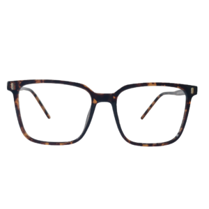 WORLD SUPER VISION