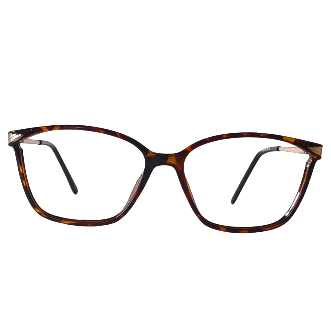 WORLD SUPER VISION