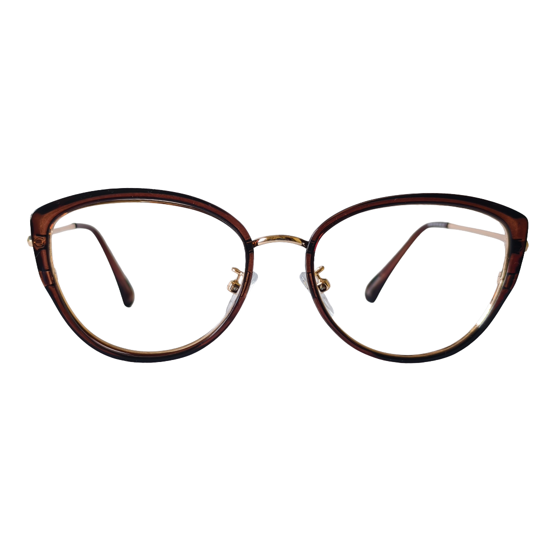 WORLD SUPER VISION